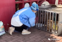 上海宠物入境-上海宠物入境最新规定