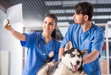 宠物狗医生的软件-狗狗宠物医生在线咨询免费